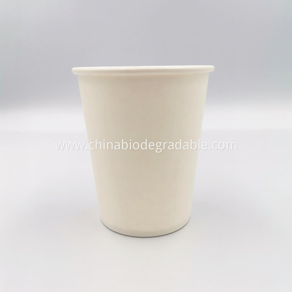  PLA Compostable Paper Cup 12oz